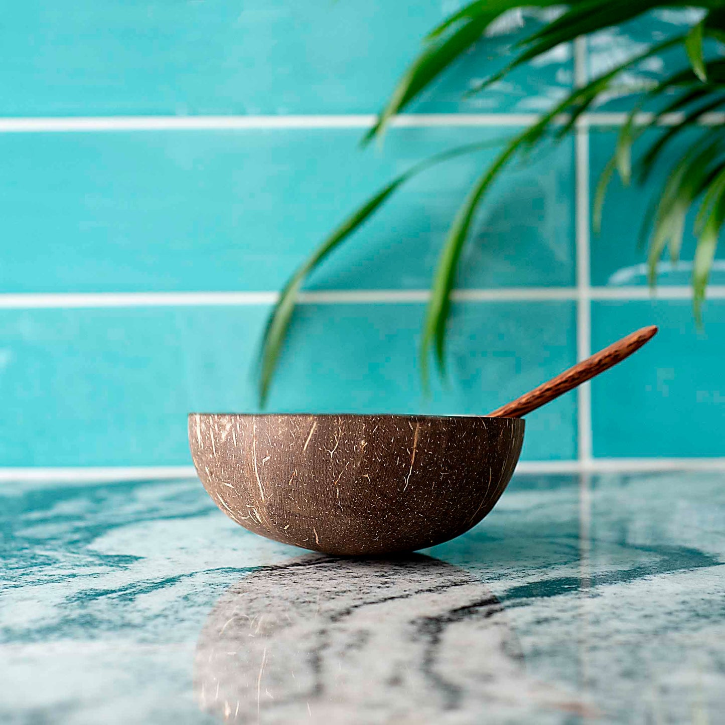 Kokoso dubuo iš šono – unikalus MAXI dydžio raštas ir forma