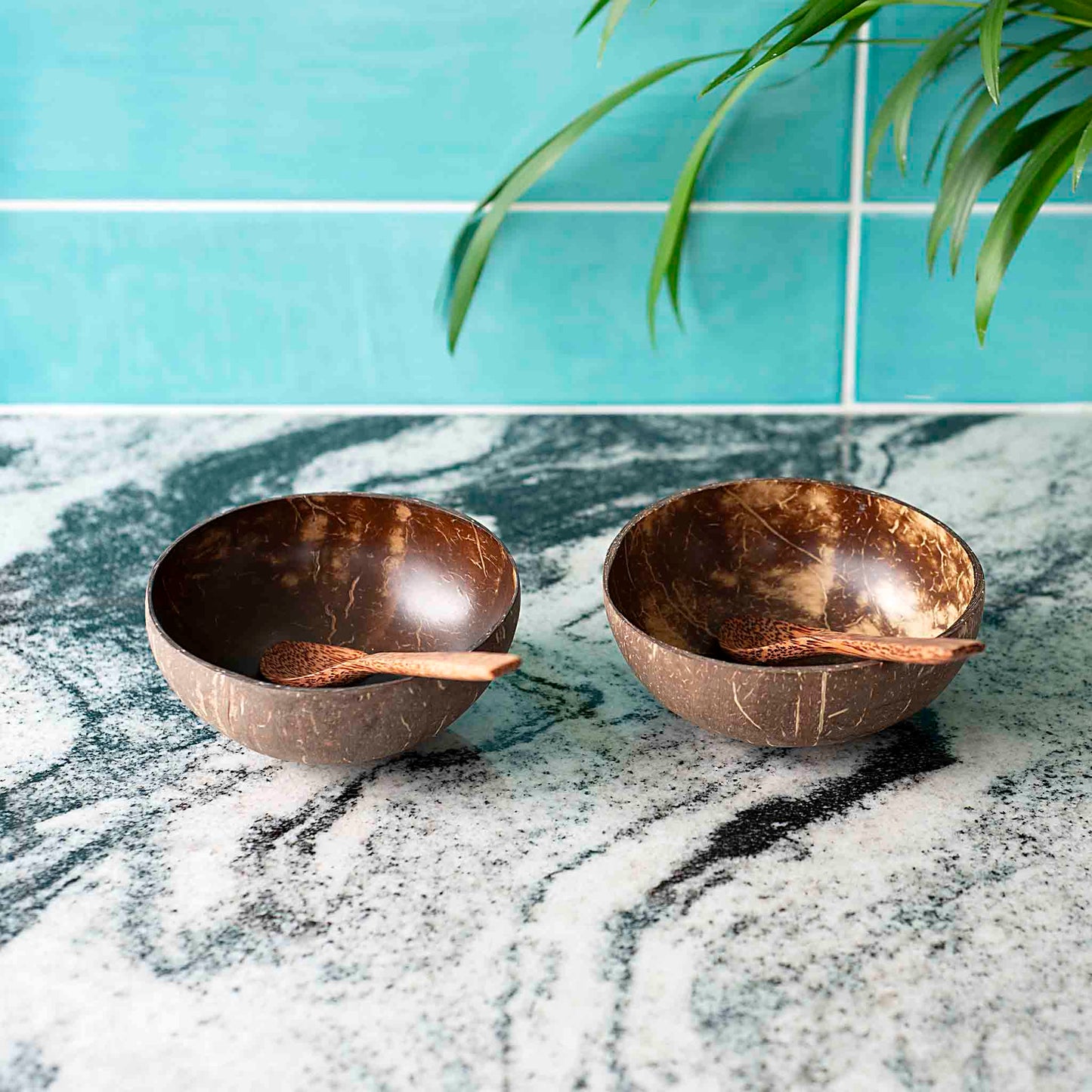 Ekologiškų kokoso dubenėlių rinkinys iš viršaus – natūrali forma ir raštas