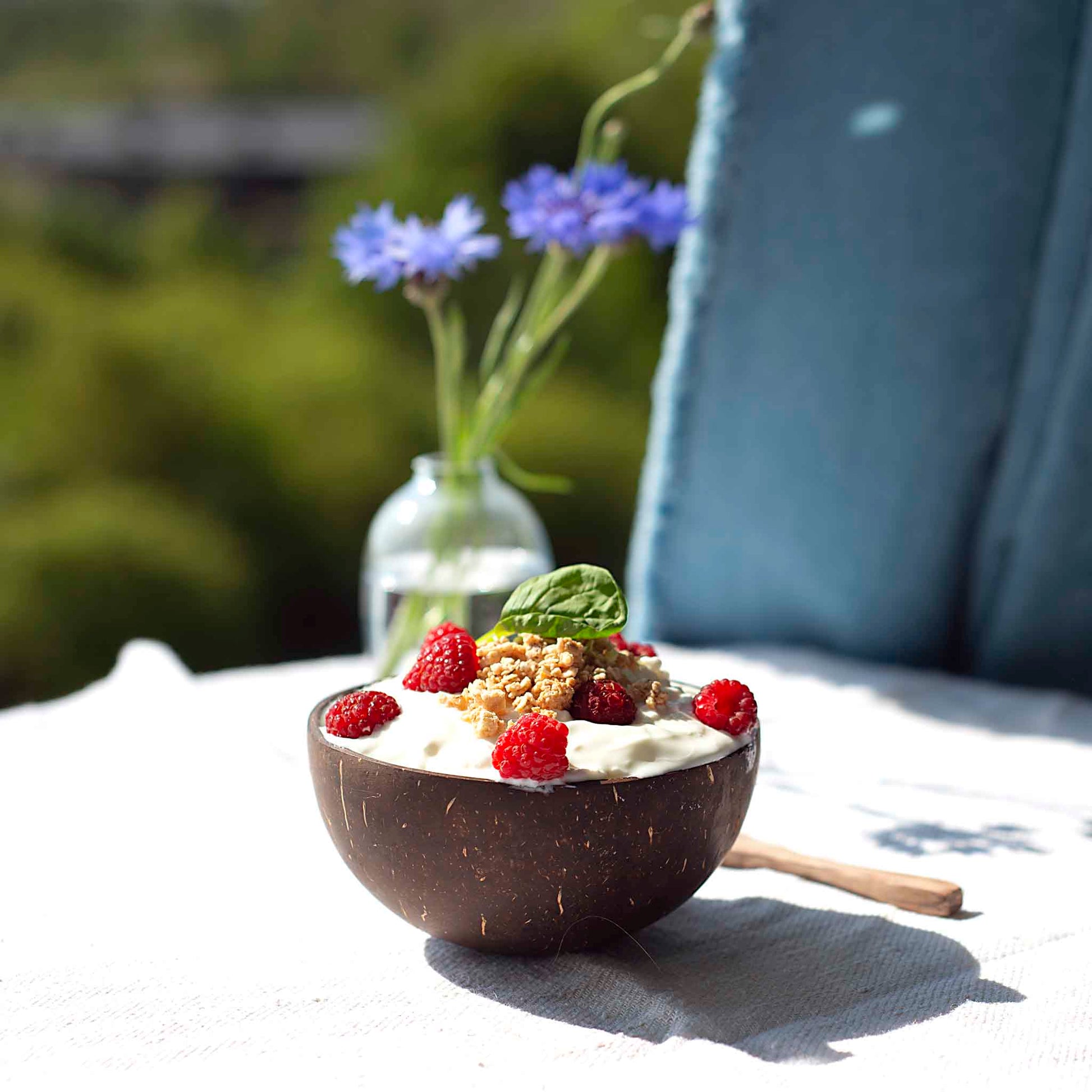 Vienas MIDI kokoso dubuo su šaukšteliu gamtos kompozicijoje ant staliuko 