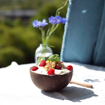 Vienas MIDI kokoso dubuo su šaukšteliu gamtos kompozicijoje ant staliuko 